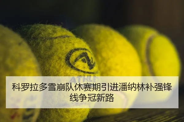 科罗拉多雪崩队休赛期引进潘纳林补强锋线争冠新路